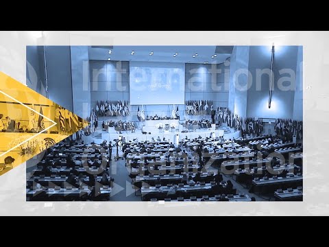 Labour Organisation Law and Its Implications in the UK