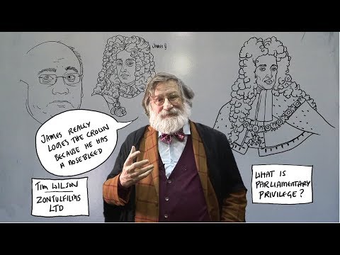 Parliamentary Privilege and Its Role in UK Law