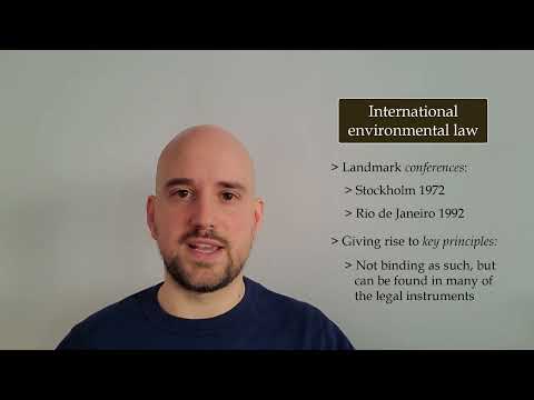 International Environmental Law and UK Legal Practice