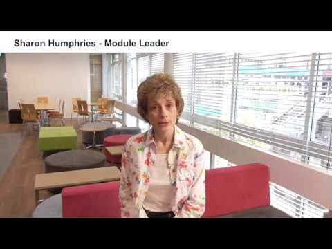 Navigating Environmental Health Law in the UK Legal System