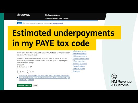 Tax Coding and Underpayment in UK PAYE Systems