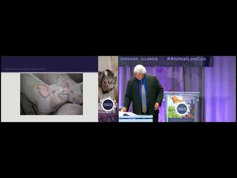 The Rise of Animal Lawyers in UK Legal Practice