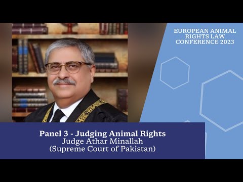 Athar Minallah and Its Influence on UK Legal Practices