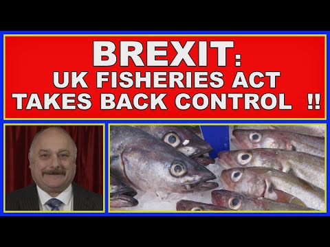 Navigating the Fisheries Act: Legal Framework in the UK