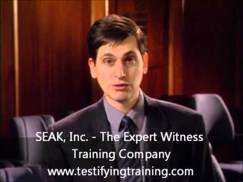 Crafting an Effective Expert Witness Report for Legal Cases