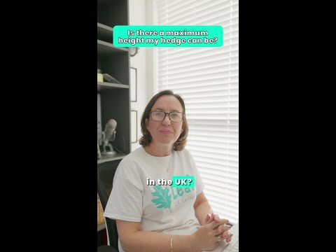 Navigating the High Hedges Act in UK Law and Practice