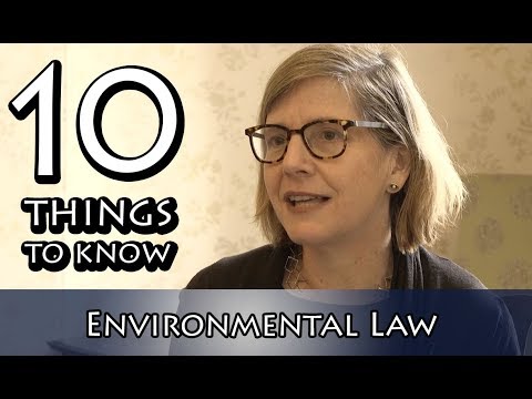 International Environmental Legislation and UK Legal Practice
