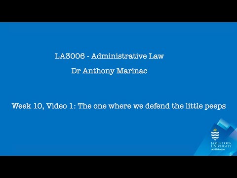 Ombudsman Roles in UK Council Legal Practices and Reforms