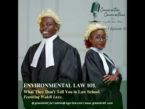 Navigating Environmental Law: Insights from UK Lawyers