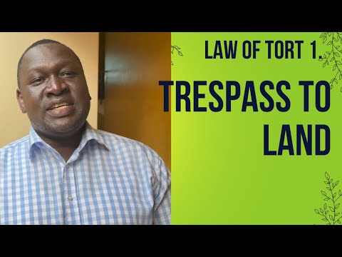 Trespass to Goods in UK Law: Rights and Remedies Explained
